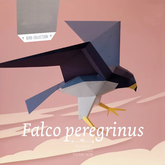 Pájaro Halcón peregrino