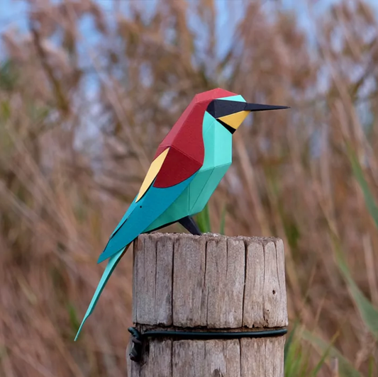 Pájaro Abejaruco europeo