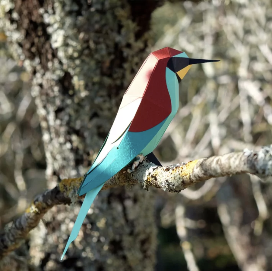 Pájaro Abejaruco europeo